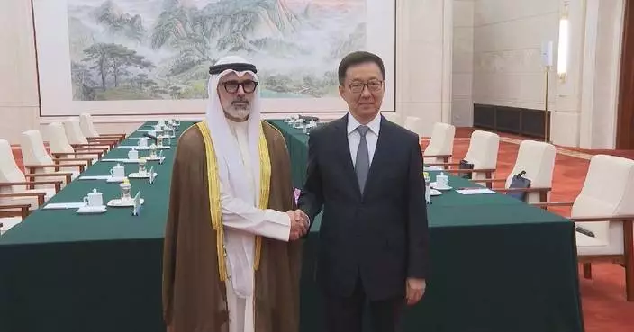 Chinese vice president meets Kuwaiti FM