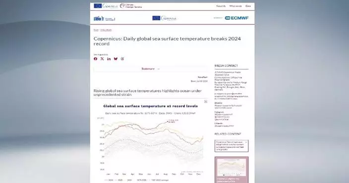 Global daily sea surface temperature hits record high: EU climate monitor