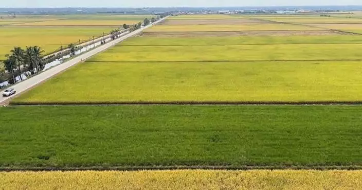 Malaysia looks to APEC for AI standards in agriculture: expert