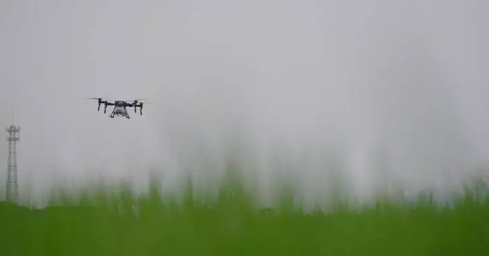 China's AI system helps bridge agricultural gaps in APEC economies