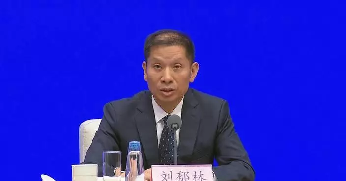 China to intensify efforts for AI applications during 15th Five-Year Plan period: official