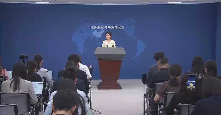 Taiwan DPP's economic leverage exposes secessionist agenda: spokeswoman