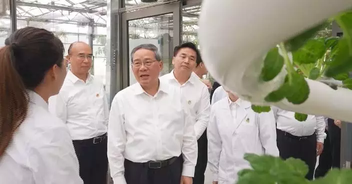 Chinese premier stresses agricultural modernization, food security