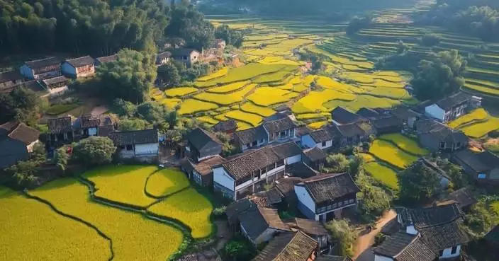 China consolidates poverty alleviation gains as rural incomes climb steadily