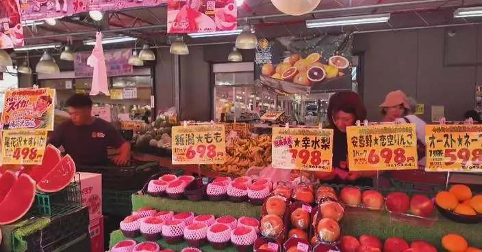 Japan's economic growth slows as fiscal expansion weighed by debt pressure: expert