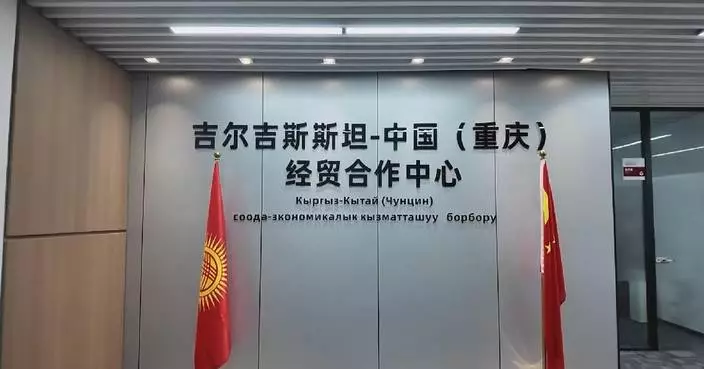 China-Kyrgyzstan trade deepens as bilateral cooperation diversifies
