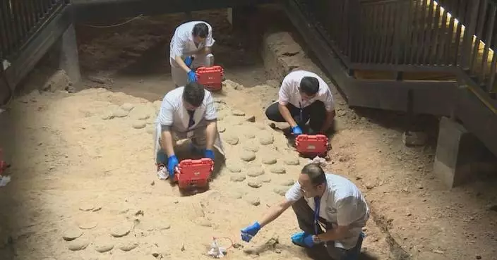 Hubei dinosaur egg site undergoes non-invasive 'heart checkup' scan