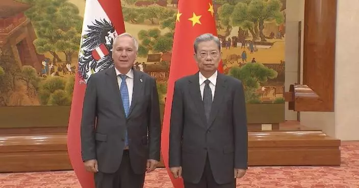 China's top legislator holds talks with Austrian parliament president
