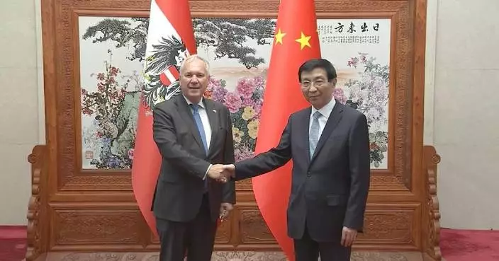 China's top political advisor meets Austrian parliament president