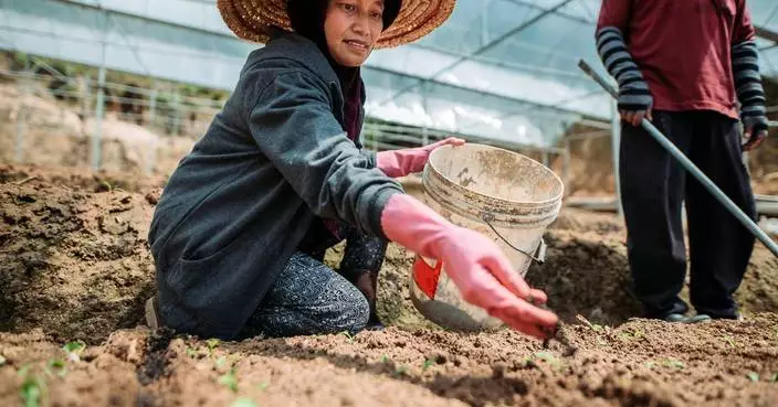 Beanstalk AgTech Announces the Launch of Monsoon Ventures to Accelerate Agtech Commercialisation in Southeast Asia