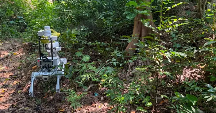 FEHD Releases August Gravidtrap and Density Indexes for Aedes Albopictus Across Ten Survey Areas