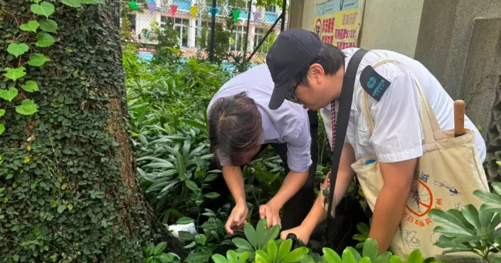 FEHD Releases Aedes Albopictus Gravidtrap and Density Indexes for August Across 18 Survey Areas