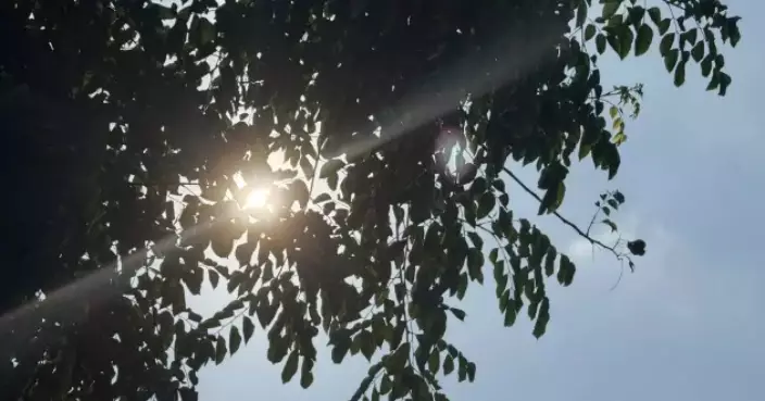 Public Urged to Take Precautions Against Heat-Related Illnesses Amid Extreme Temperatures