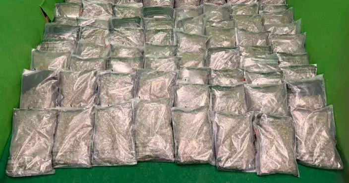 Hong Kong Customs Seizes 33 Kilograms of Cannabis, Arrests American Passenger at Airport