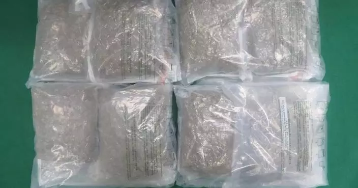 Hong Kong Customs Seize $1 Million Cannabis, Arrest 29-Year-Old Man in Tin Shui Wai Operation