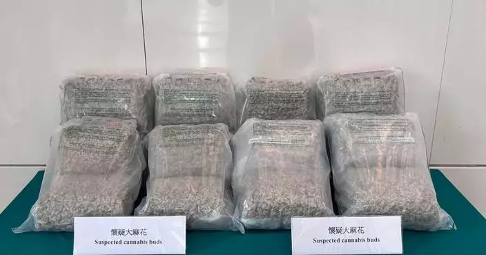 Hong Kong Customs Seizes $5.3 Million in Cannabis, Arrests Three Men at Airport