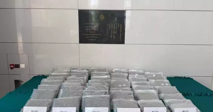 Hong Kong Customs Seizes 240kg of Cannabis, Arrests 10 in Major Anti-Drug Operation Flame Mesh