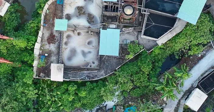 Pig Farm Owner Fined $8,000 for Discharging Untreated Waste into Yuen Long Watercourse