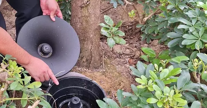 FEHD Releases August Aedes Albopictus Gravidtrap and Density Indexes Across 17 Survey Areas.