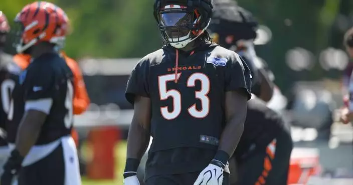 Bengals have one of their deepest defensive tackle groups despite Hill's injury