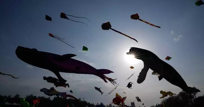 The top photos of the week by AP photojournalists