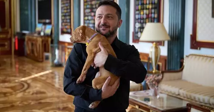 Ukraine's president coos over a puppy, starting a new volley in his war of visuals against Russia