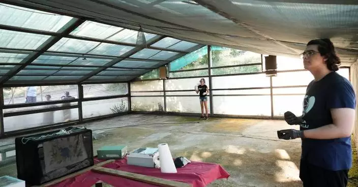 Volunteers work to protect displaced bats at an Italian Bat Conservation, in photos