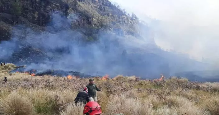 Fire burns 60 hectares in Indonesia’s Mount Bromo National Park