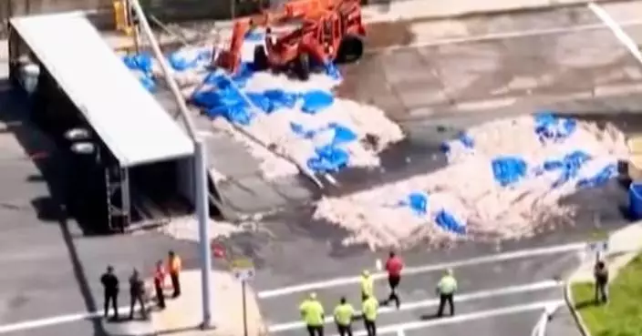 Truckload of squid spills into the street in Rhode Island, creating a smelly mess in the summer heat
