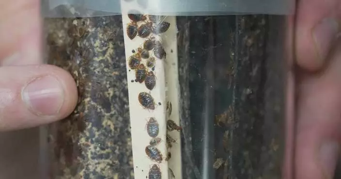 Bedbugs can cause people to lose sleep — and blood. Here's what to do about them