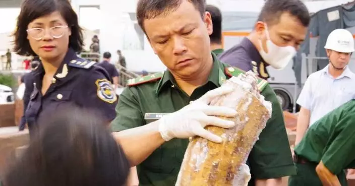 Authorities in Vietnam discover more than a ton of concealed ivory illegally shipped from Africa