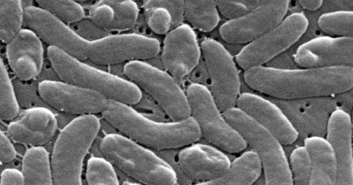 Health officials urge caution for Gulf Coast beachgoers during surge of deadly bacterial infections