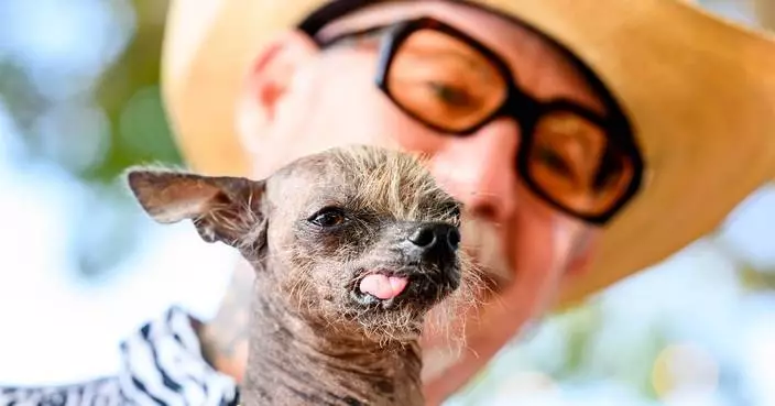 Photos show the World’s Ugliest Dog Contest in California