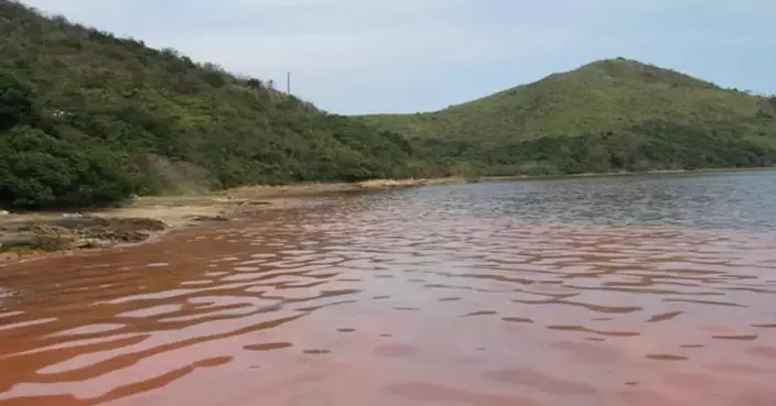 Two Red Tides Reported in Hong Kong; No Fish Deaths Observed