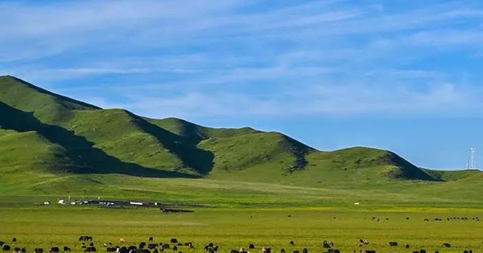 Beijing Review: Yaks and the revolution