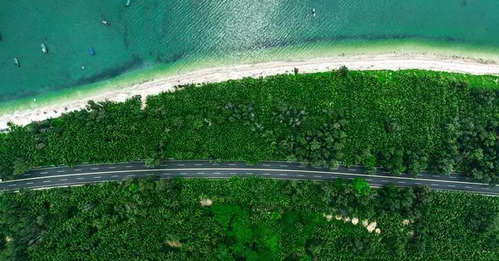 Hainan Welcomes the World with Coconut‑Breeze Charm: Presenting a New Cultural‑Tourism Calling Card