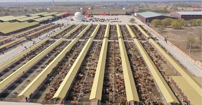 Hinggan League Agricultural, Cultural and Tourism Consumption Carnival Opens in Beijing