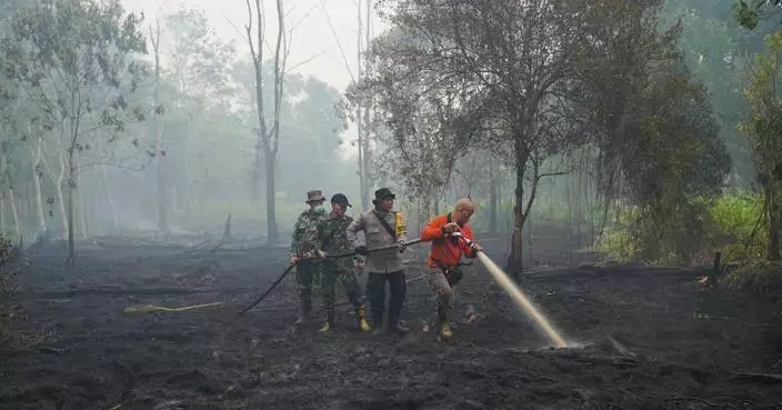 This year's El Nino-driven heat could cause nearly half a million more deaths, group says