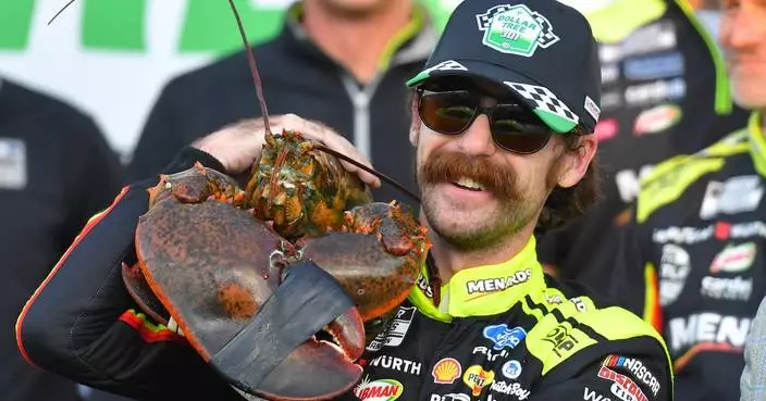 As NASCAR begins another title Chase, a look at the contenders and pretenders in the 16-man field