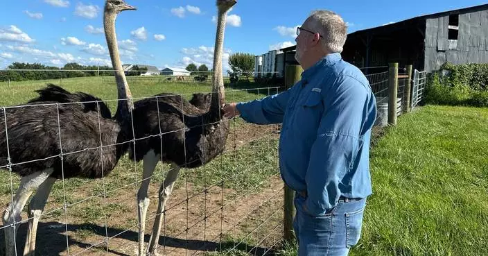 A Kentucky man with a meat allergy was craving a burger. So he got into ostrich farming
