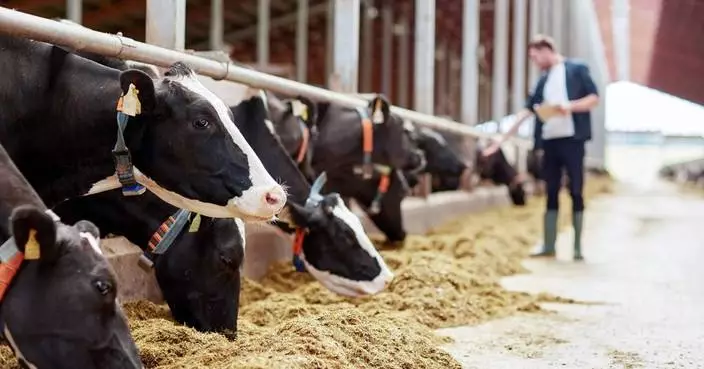 IFF Launches Omni-Bos™ PHY to Help Dairy Producers Get More Value from Feed