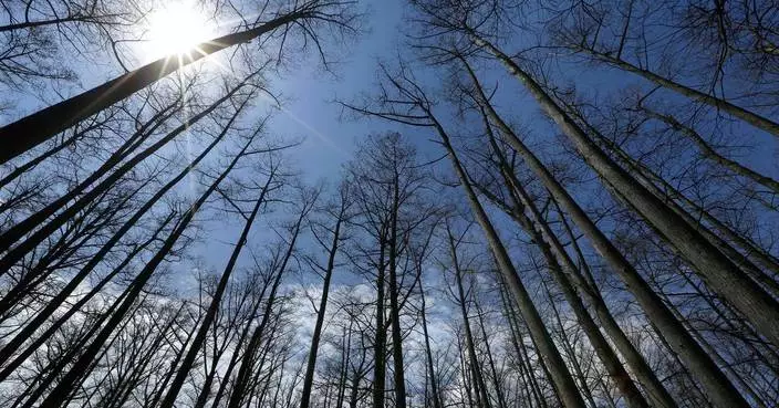 US Forest Service closing 23 research facilities as part of reorganization under Trump