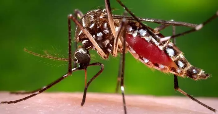Florida confirms a death from dengue as the state struggles with one of its worst recent outbreaks