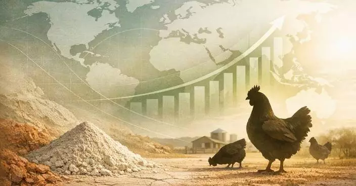 Unique Australian Clay: Multi Minerals Australia’s Non-antibiotic Solution for Poultry Production