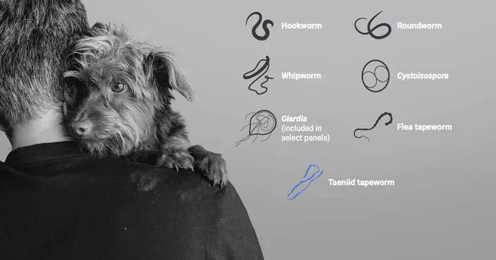 IDEXX Expands Faecal Dx Antigen Testing Platform in the United Kingdom with Taeniid Tapeworm Detection