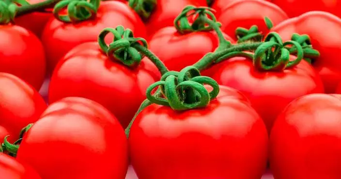 Major Scientific Breakthrough Increases Crop Yields by Using the Plant’s Own Natural Mechanisms