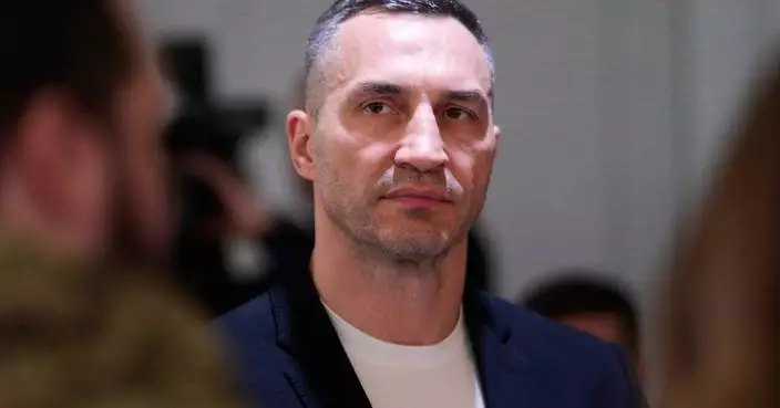 Hayden Panettiere's ex Wladimir Klitschko petitions to protect their daughter's inheritance