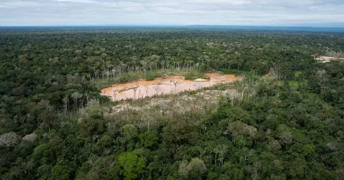 Peru faces human rights court over protections for isolated Indigenous peoples in Amazon