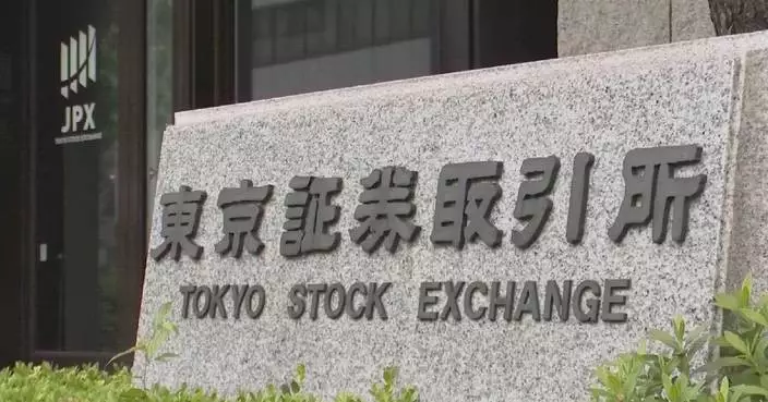 Rate concerns, weak yen overshadow Nikkei rebound: analyst