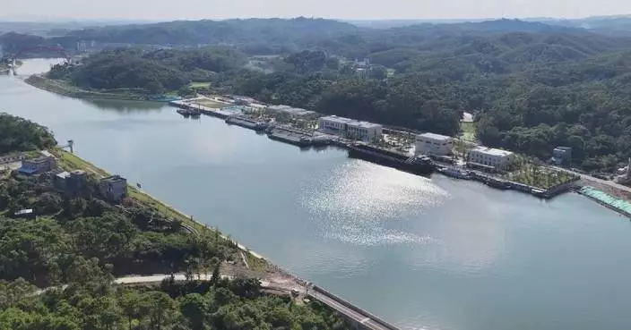 Pinglu Canal to cut southwest China-ASEAN shipping distance by 560 km: official